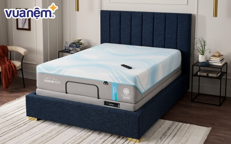 Tempur ứng dụng công nghệ NASA vào nệm của mình