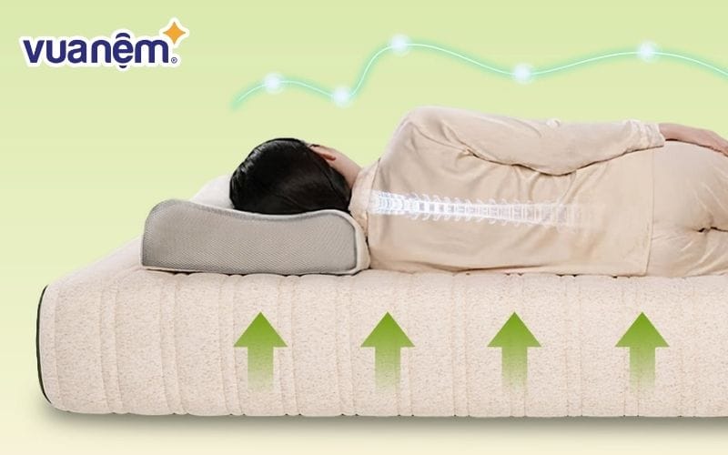 Tìm hiểu cơ chế hỗ trợ cột sống của đệm cao su