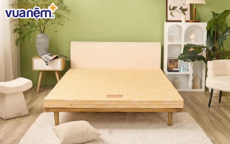 Nệm bông ép Wonjun Pure Carbon