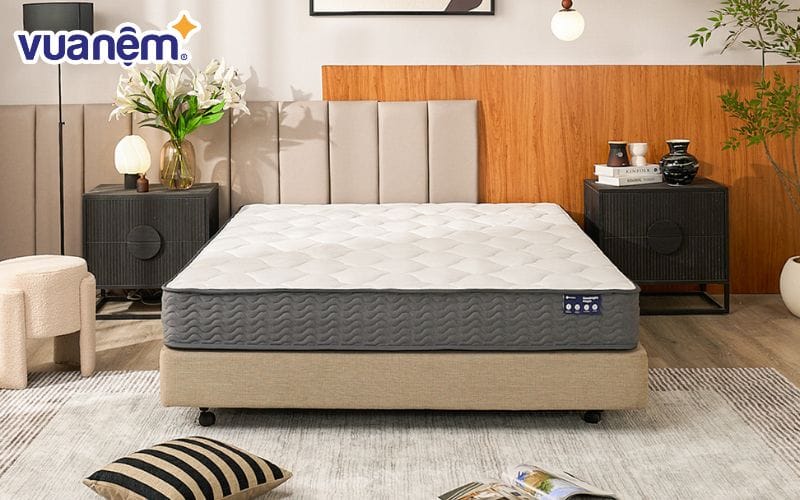 Nệm lò xo túi độc lập Amando Goodnight Magic