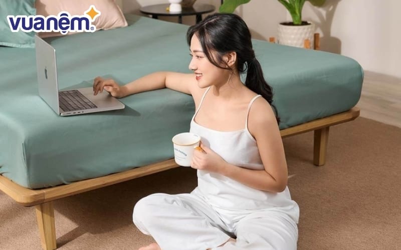 Bộ ga chun micro satin Amando Cozy 3 chi tiết