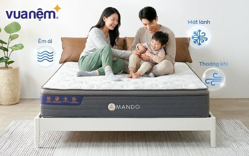 Vua Nệm cung cấp đa dạng các dòng nệm lò xo từ nhiều thương hiệu uy tín