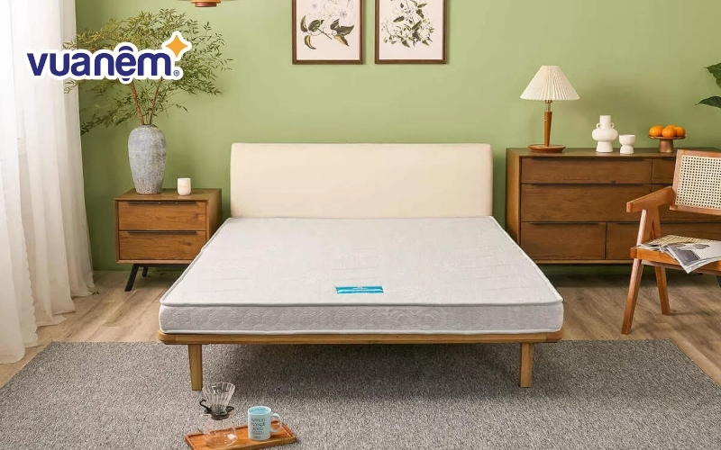 Tổng quan về đệm bông ép