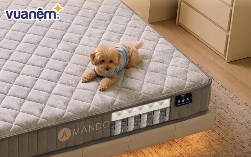 Lớp tiện nghi của nệm lò xo