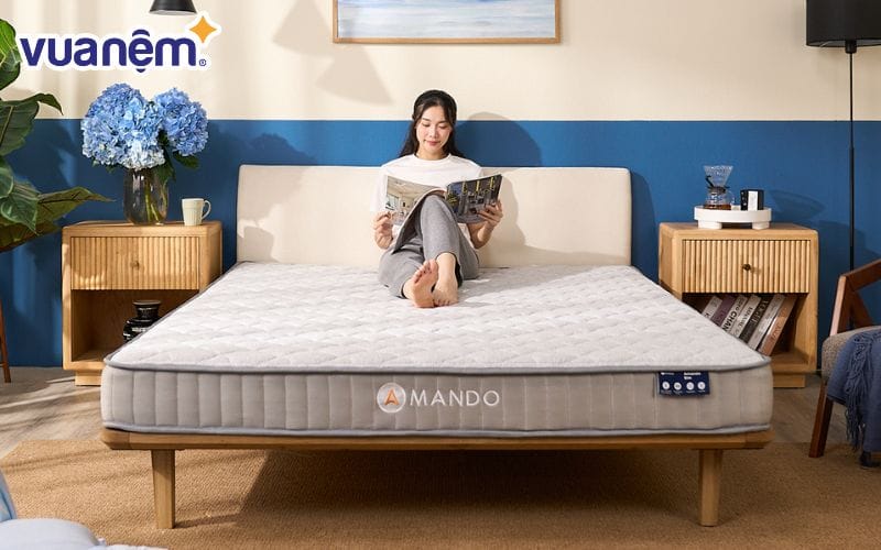 Nệm lò xo túi độc lập Amando Eco