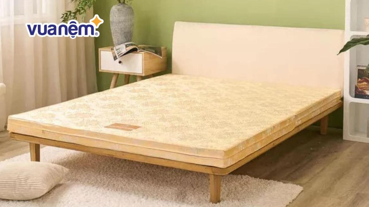 Chia sẻ kinh nghiệm mua nệm bông ép rẻ - đẹp - chất lượng
