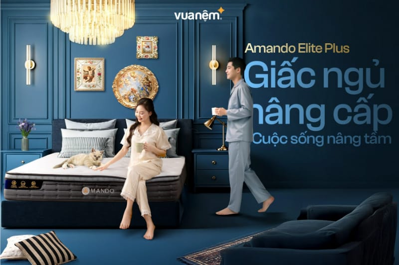 Nệm lò xo Amando Elite Plus