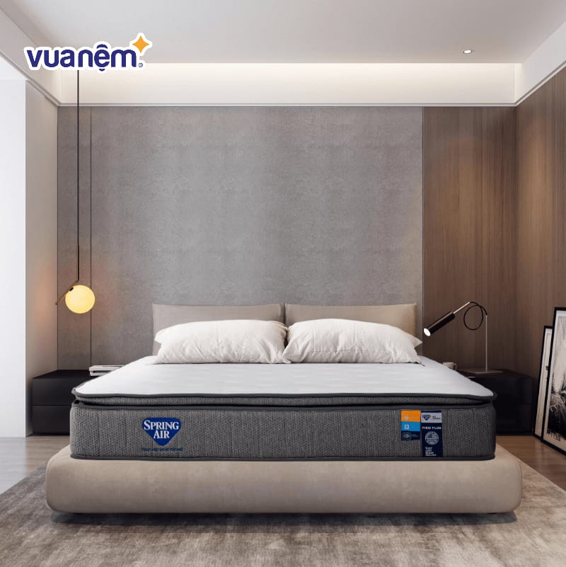 Nệm lò xo hỗ trợ nâng đỡ Spring Air Back Supporter Firm Plus