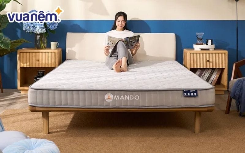 Nệm lò xo túi cuộn Amando Eco