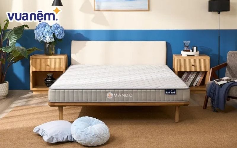 Nệm lò xo túi độc lập Amando Eco