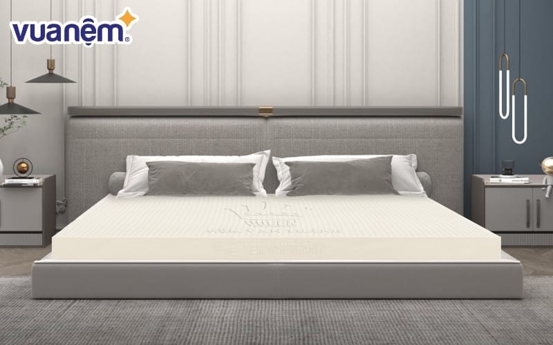 Vạn Thành nổi tiếng với dòng nệm cao su