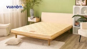 Nên mua nệm bông ép hay nệm lò xo? Tiêu chí chọn nệm chất lượng
