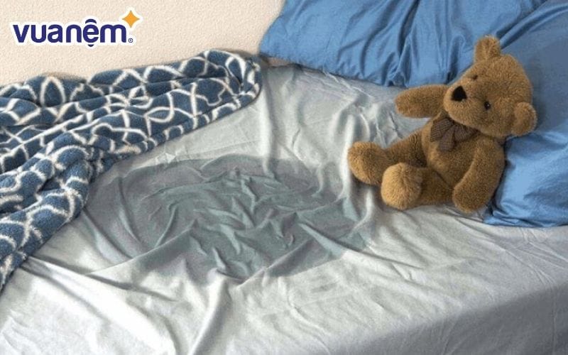 Nước tiểu - Nguyên nhân khiến nệm lò xo bị mốc