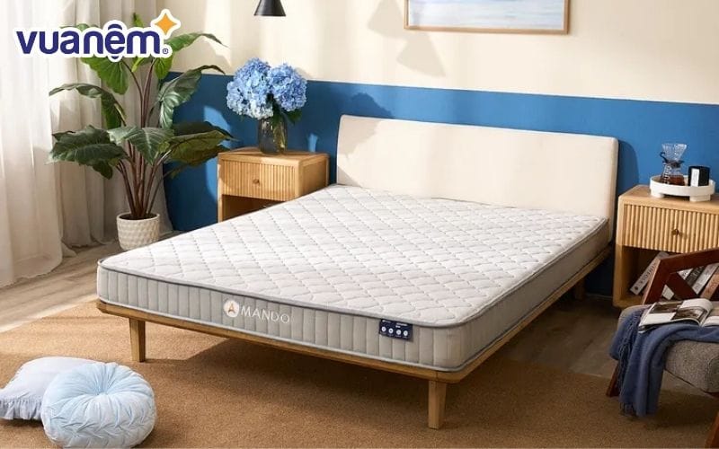 So sánh giá bán nệm mới và cân nhắc nên mua thanh lý hay nệm mới