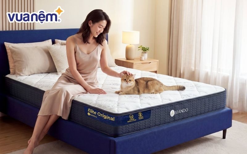 So với các loại nệm khác, nệm lò xo êm và có độ đàn hồi tốt nhất