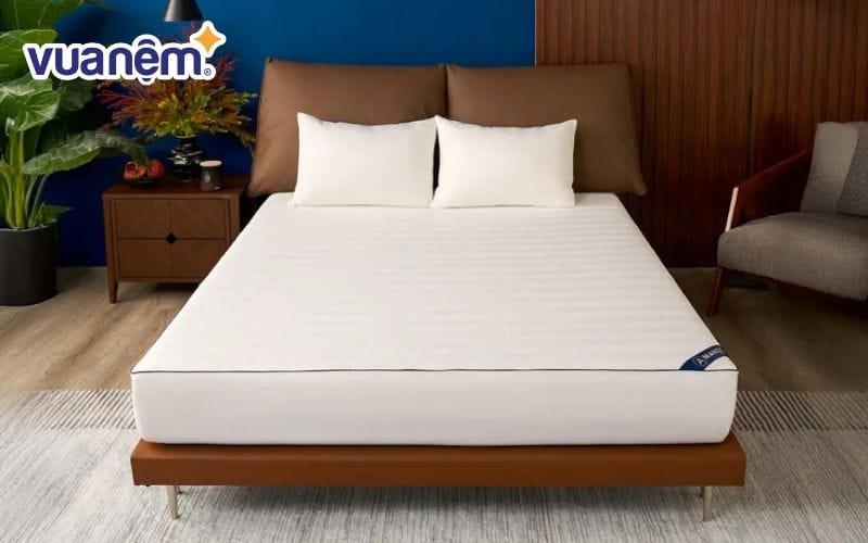 Sử dụng tấm bảo vệ nệm để ngăn cách đệm với các yếu tố gây hại