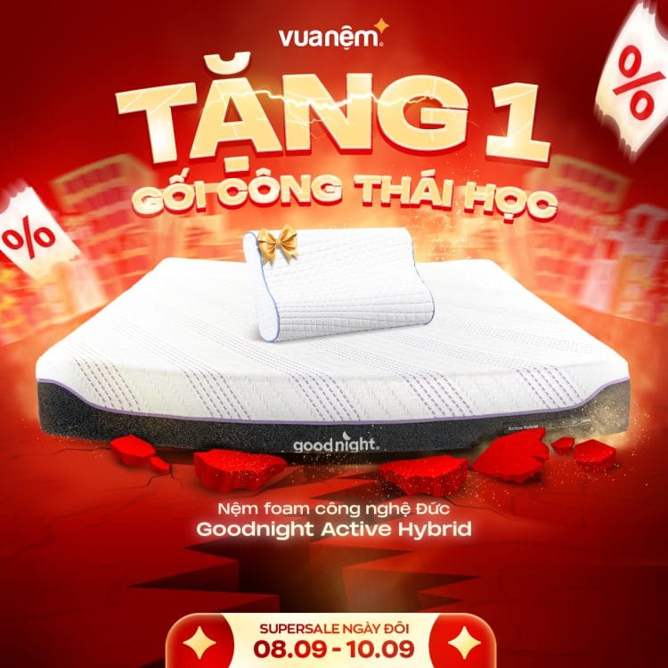 Nệm foam Goodnight Active Hybrid