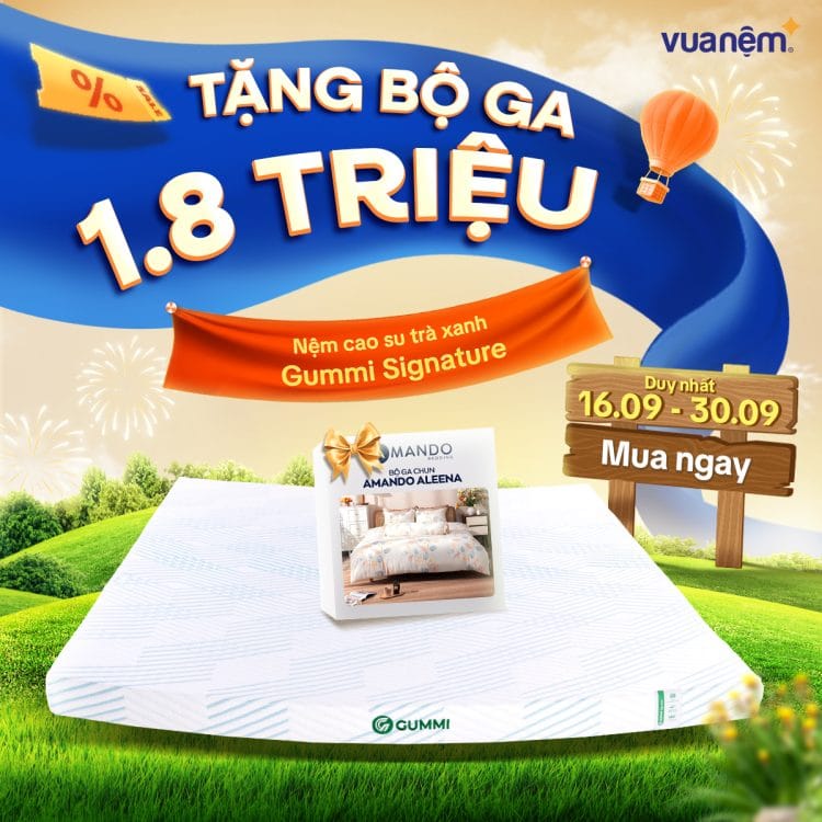 Nệm cao su trà xanh Gummi Signature