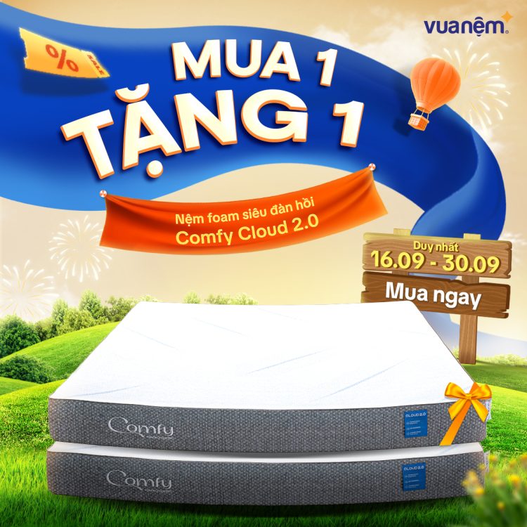 Mua 1 tặng 1 nệm foam đàn hồi Comfy Cloud 2.0