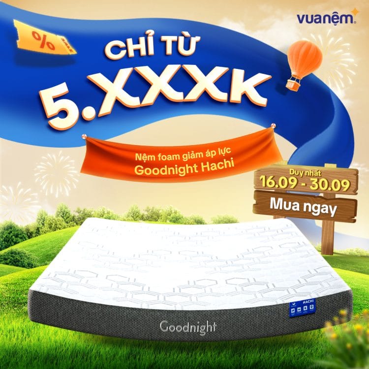 Nệm foam Goodnight Hachi giảm áp lực