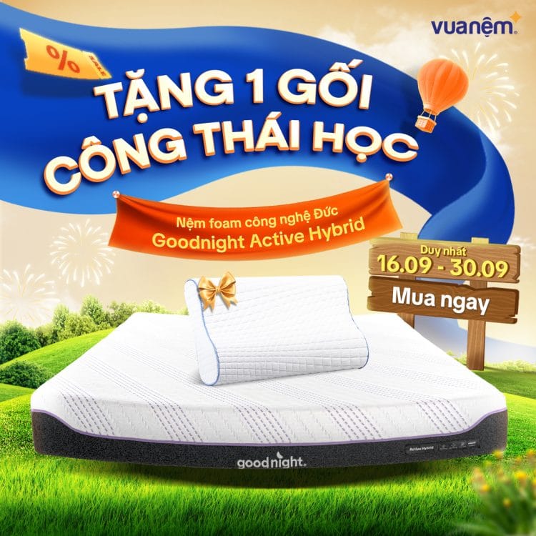 Mua Nệm foam Goodnight Active Hybrid tặng 1 gối công thái học