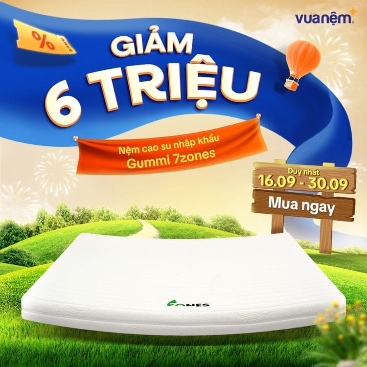 Nệm cao su nhập khẩu Gummi 7zones sale 6 triệu
