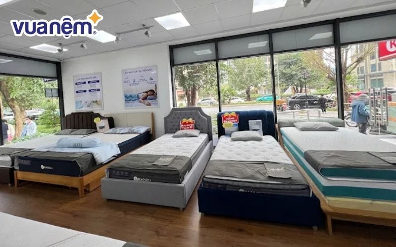 Vua Nệm cung cấp đa dạng mẫu nệm lò xo túi độc lập chính hãng, chất lượng