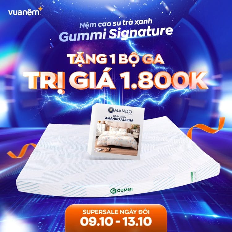 Nệm cao su trà xanh Gummi Signature