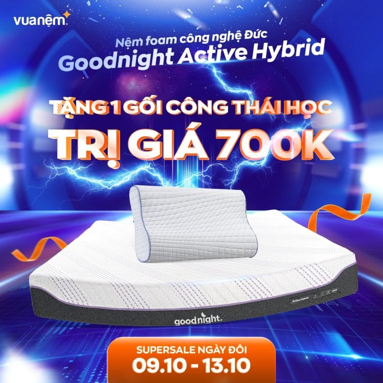 Mua nệm foam Goodnight Active Hybrid nhận ngay gối công thái học 700k