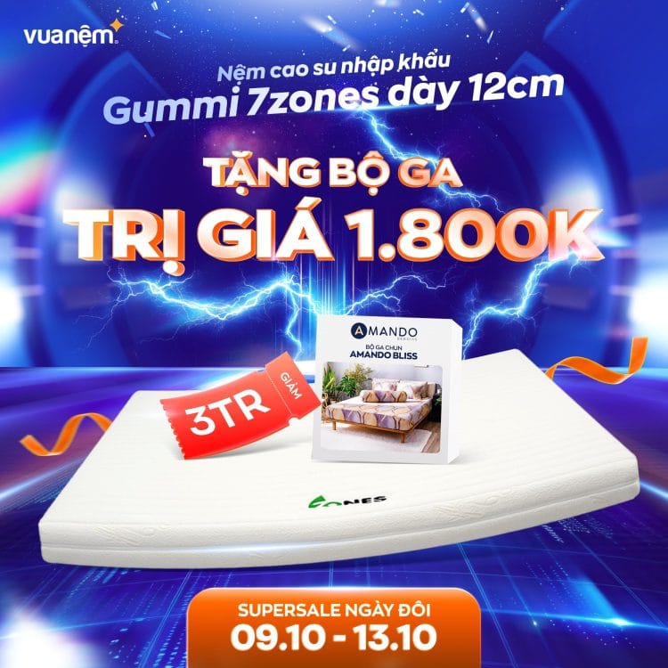 Nệm cao su Gummi 7zones 