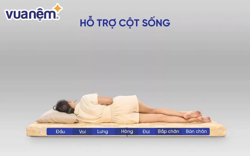 Đệm bông ép độ dày 7cm phù hợp với ai thích cảm giác nâng đỡ