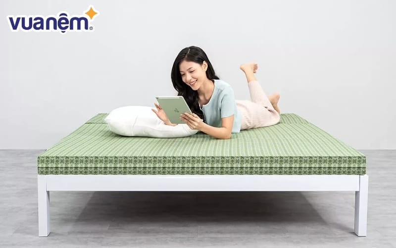 Đệm bông ép Goodnight Nova