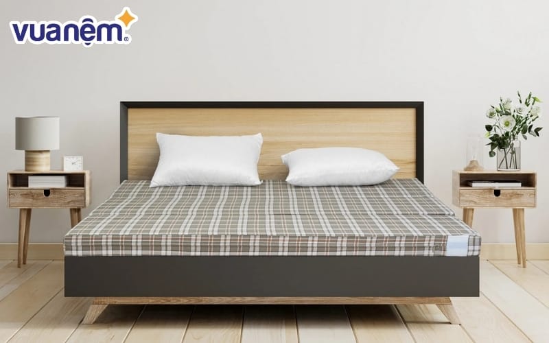 Đệm bông ép M3 Dreamland