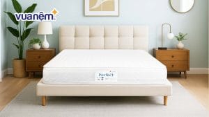 Kích thước nệm Vạn Thành và cách lựa chọn chuẩn