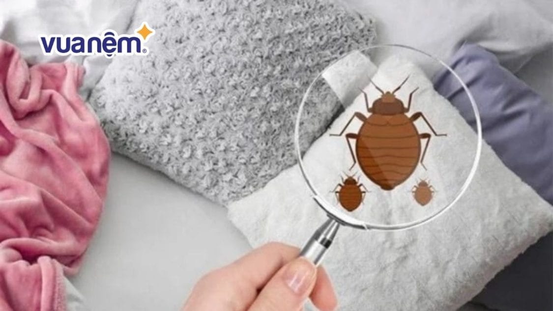 Cách loại bỏ mạt bụi khỏi nệm nhanh chóng, đơn giản tại nhà