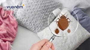 Cách loại bỏ mạt bụi khỏi nệm nhanh chóng, đơn giản tại nhà