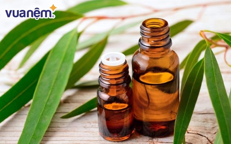 Bạn có thể dùng hỗn hợp dầu khuynh diệp và để loại bỏ mạt bui khỏi nệm