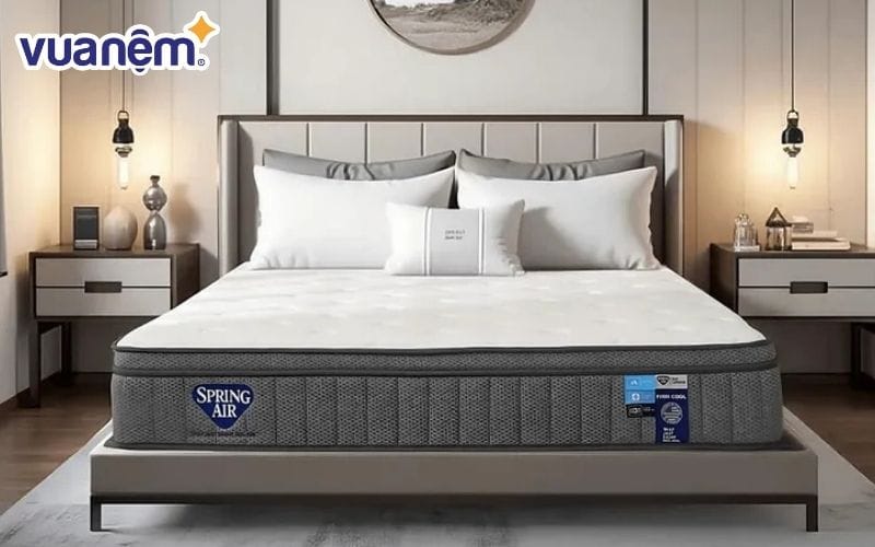 Lựa chọn cửa hàng phân phối đa dạng mẫu mã nệm