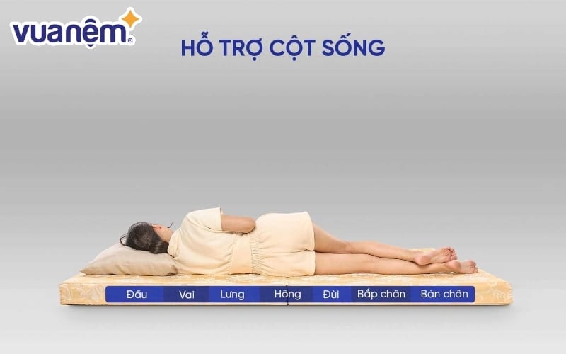 Một số dòng nệm gấp có khả năng nâng đỡ tốt