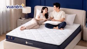 Mua nệm lò xo ở đâu uy tín? Top 08 địa chỉ chính hãng, giá tốt 2026