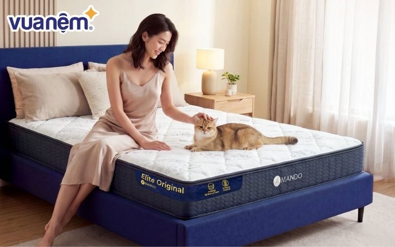 Mua nệm lò xo chính hãng online tại Amando