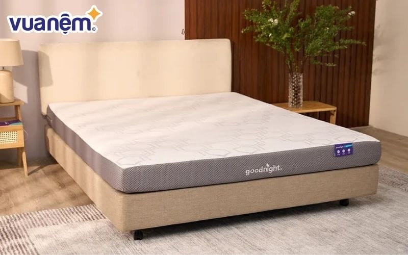 Mua nệm massage cho người già chất lượng tại Vua Nệm