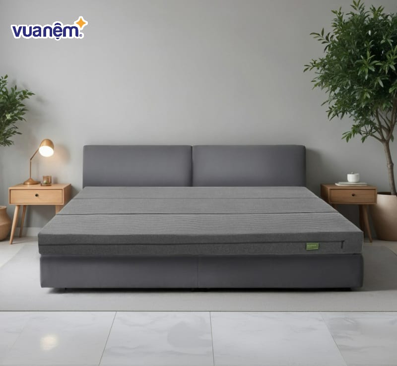 Đệm bông ép Everon