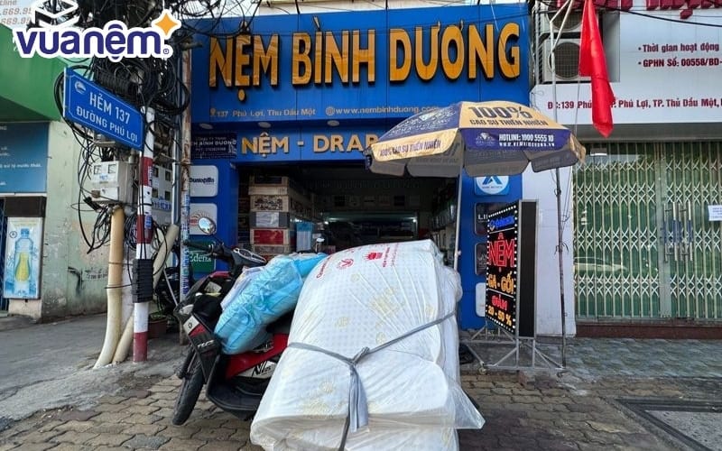 Nệm Bình Dương là nơi đáng tin cậy để chọn mua nệm bông ép