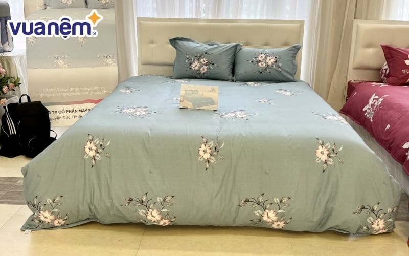 Điện Máy Chăn Ga Gối Nệm Đức Duy bán đệm bông ép giá bình dân