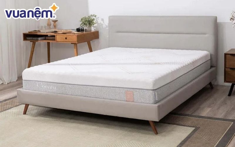 Nệm foam Comfy Lux 3.0