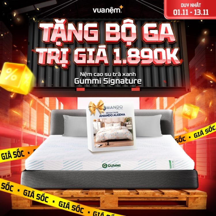 Nệm cao su trà xanh Gummi Signature