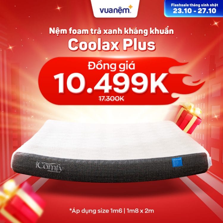 Nệm foam trà xanh kháng khuẩn iComfy Coolax Plus đồng giá 10.499k