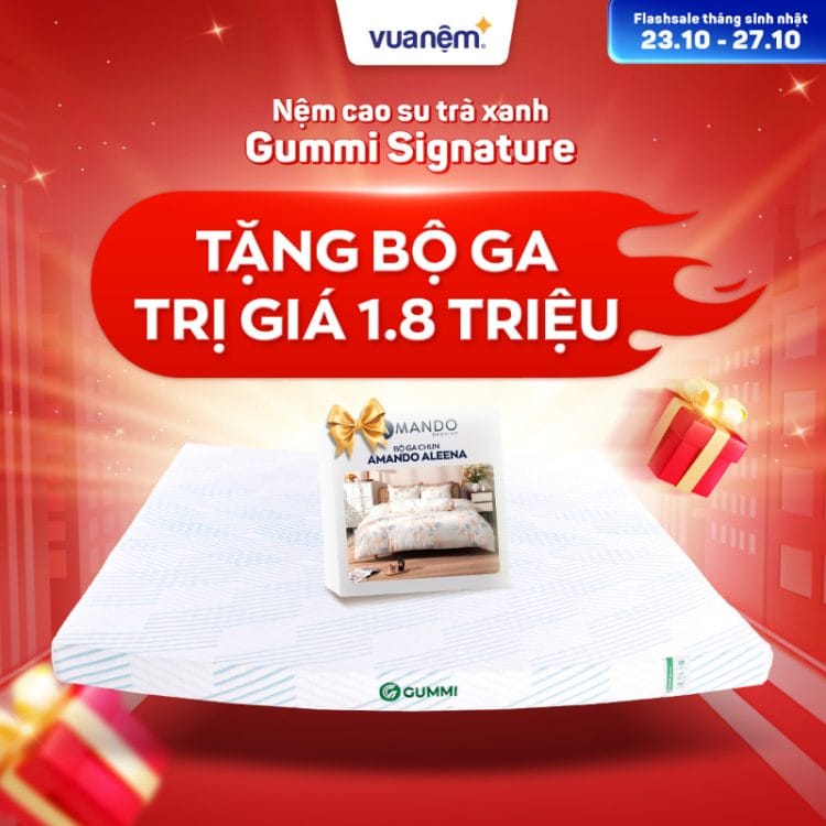 Nệm cao su trà xanh Gummi Signature