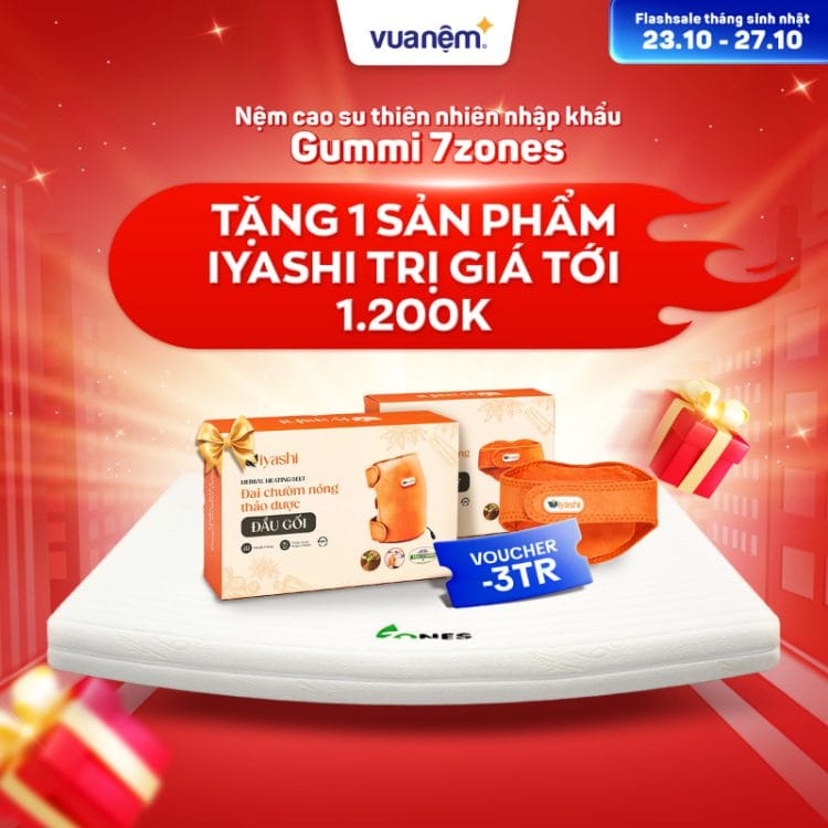 Nệm cao su nhập khẩu Gummi 7zones